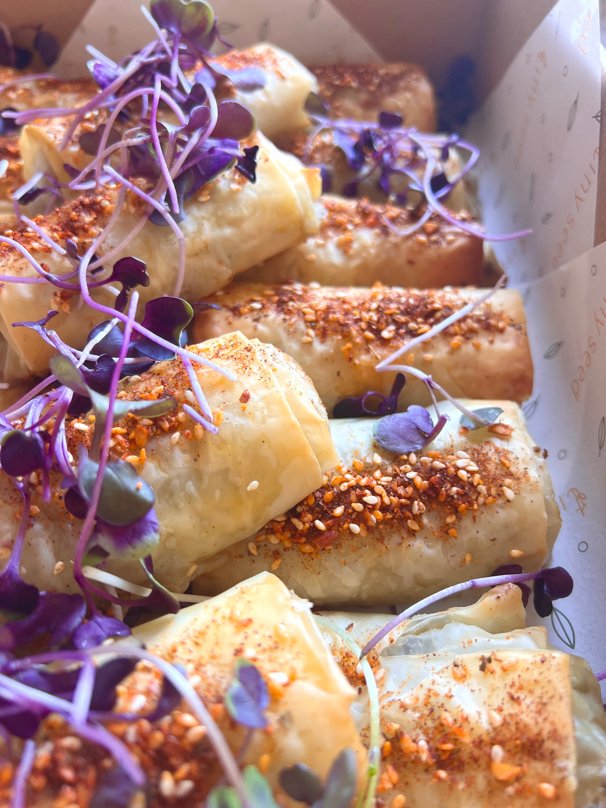Filos Box Mini Veggie Filos Box - Perfect Nibbles for Events | Tiny Seed