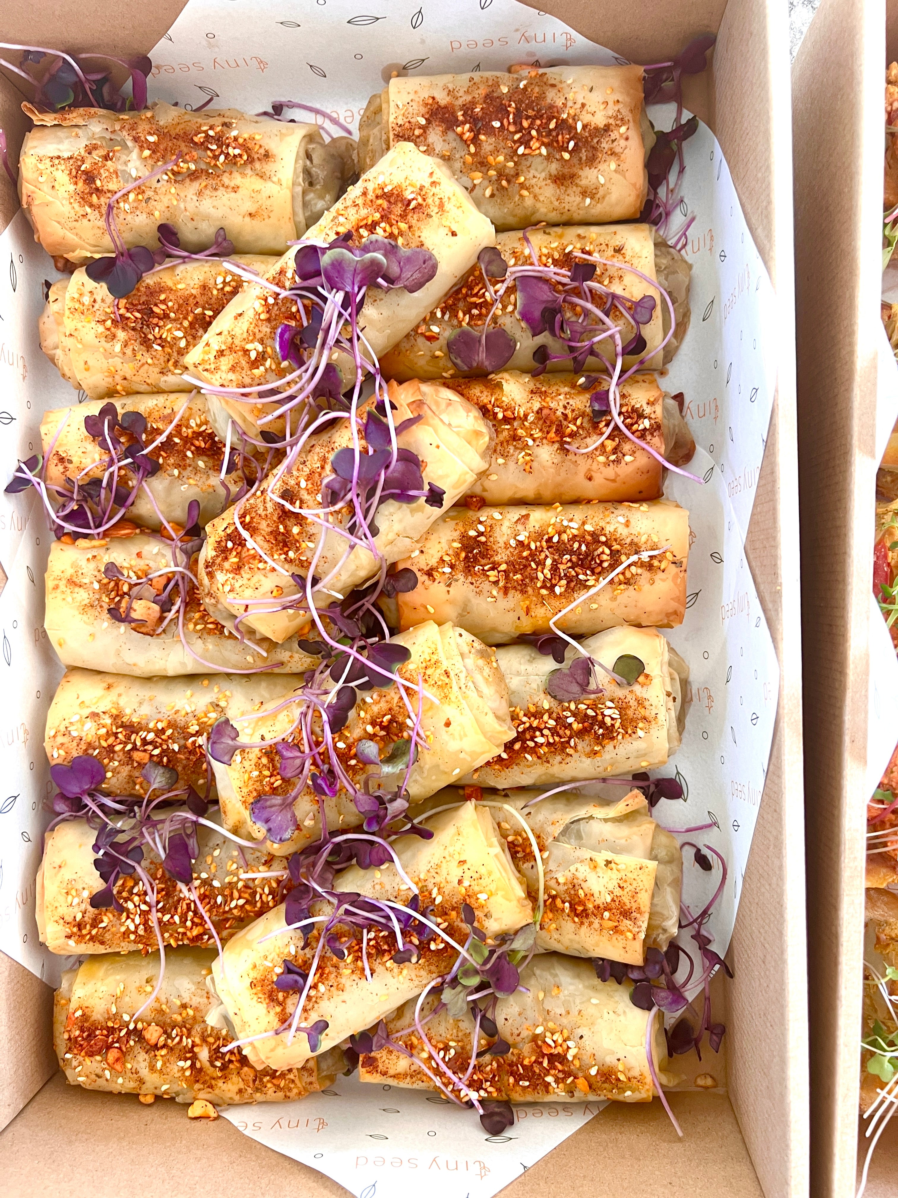 Filos Box Mini Veggie Filos Box - Perfect Nibbles for Events | Tiny Seed